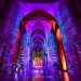11 breathtaking photos capture first night of stunning cathedral light show