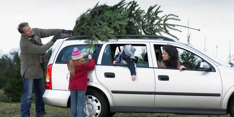 How your Christmas tree could land you with a fine