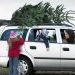 How your Christmas tree could land you with a fine