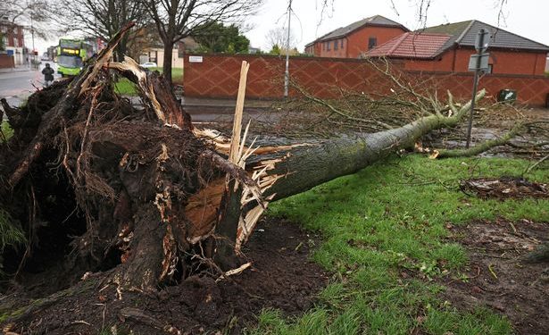 Liverpool weather updates as yellow weather warning issued