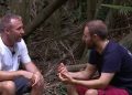 ITV I’m a Celeb’s Alan Halsall leaves jungle as viewers say same thing about ‘twin’ brother