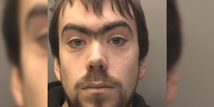 Judge tells man, 25, ‘what you did was quite simply despicable’